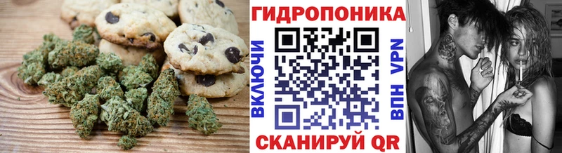 Печенье с ТГК конопля OMG маркетплейс Таганрог
