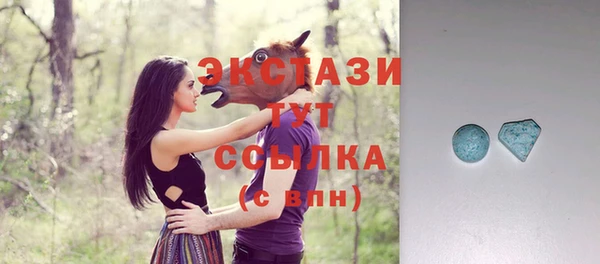 круглые Гусев