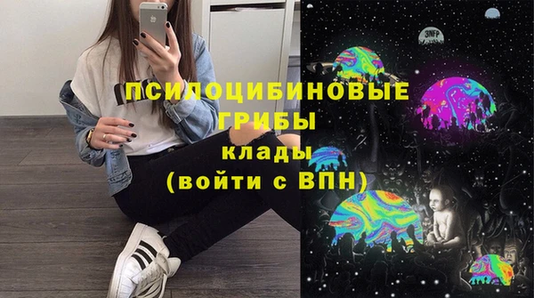 круглые Гусев
