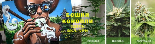 круглые Гусев