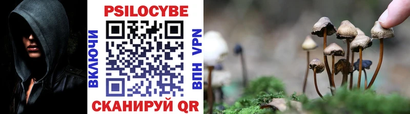 магазин  наркотиков  кракен ссылки  Галлюциногенные грибы Magic Shrooms  Таганрог 
